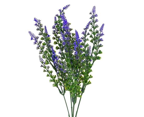 Букет лаванда, изображение 2 ᐒ купить на  ❤ Like7km.com.ua
