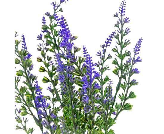 Букет лаванда, изображение 3 ᐒ купить на  ❤ Like7km.com.ua