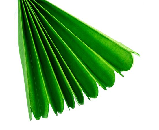 Бумажный пом-пон, зеленый 35 см., изображение 2 ᐒ купить на  ❤ Like7km.com.ua