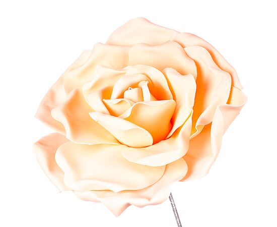 Цветок для фотозоны персиковый 22 см (маленький), изображение 2 ᐒ купить на  ❤ Like7km.com.ua