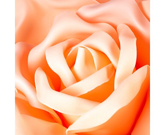 Цветок для фотозоны персиковый 28 см (средний), изображение 3 ᐒ купить на  ❤ Like7km.com.ua