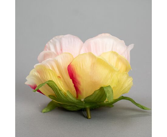 Головка пиона 6 см. *рандомный выбор цвета, изображение 6 ᐒ купить на  ❤ Like7km.com.ua