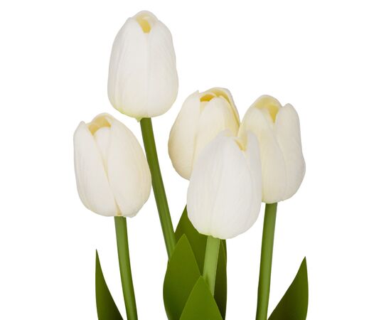 Букет тюльпанов "Рапсодия", кремовый, 25,5 см, изображение 2 ᐒ купить на  ❤ Like7km.com.ua