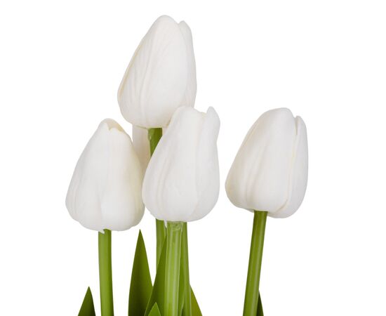Букет тюльпанов "Рапсодия", белый, 25,5 см, изображение 2 ᐒ купить на  ❤ Like7km.com.ua