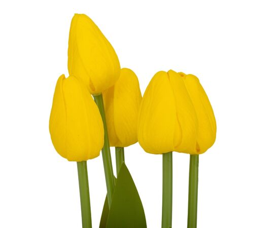 Букет тюльпанов "Рапсодия", желтый, 25,5 см, изображение 2 ᐒ купить на  ❤ Like7km.com.ua