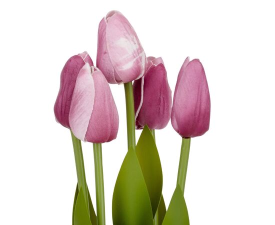 Букет тюльпанов "Рапсодия", фиолетовый, 25,5 см, изображение 2 ᐒ купить на  ❤ Like7km.com.ua