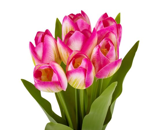 Букет тюльпанов "Красочность", розовый, 40 см, изображение 2 ᐒ купить на  ❤ Like7km.com.ua