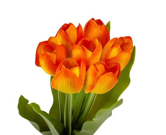 Букет тюльпанов "Красочность", оранжевый, 40 см, изображение 2 ᐒ купить на  ❤ Like7km.com.ua
