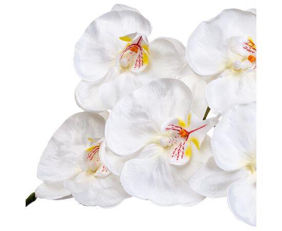 Орхидея белая 137 см, изображение 3 ᐒ купить на  ❤ Like7km.com.ua