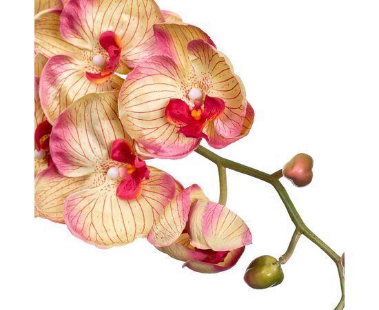 Орхидея золотистая 137 см, изображение 2 ᐒ купить на  ❤ Like7km.com.ua