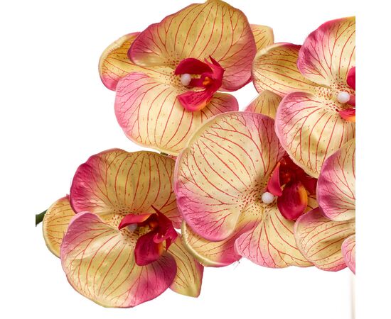 Орхидея золотистая 137 см, изображение 3 ᐒ купить на  ❤ Like7km.com.ua