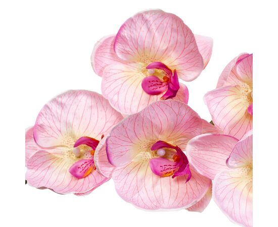 Орхидея нежно розовая 137см, изображение 3 ᐒ купить на  ❤ Like7km.com.ua