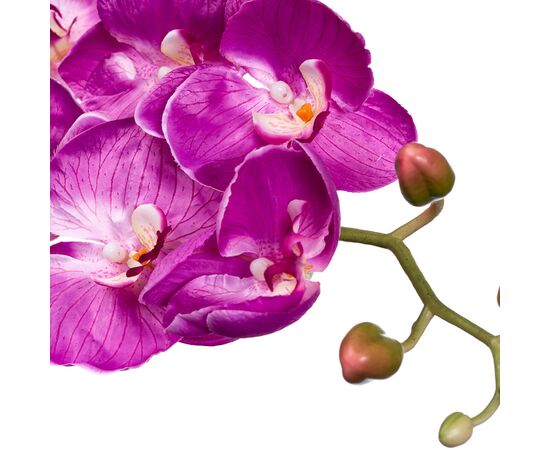 Орхидея малиновая 137см, изображение 2 ᐒ купить на  ❤ Like7km.com.ua