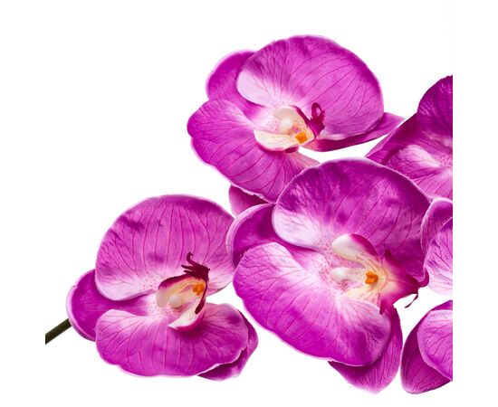 Орхидея малиновая 137см, изображение 3 ᐒ купить на  ❤ Like7km.com.ua