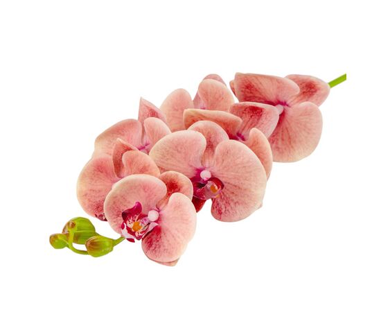 Искусственная орхидея, розовая, 75 см, изображение 4 ᐒ купить на  ❤ Like7km.com.ua