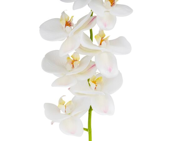 Искусственная орхидея, белая, 75 см, изображение 3 ᐒ купить на  ❤ Like7km.com.ua