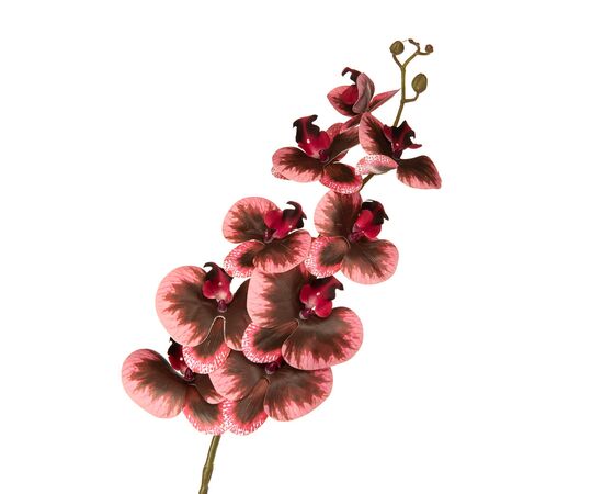 Орхидея 106 см., Бордовая, изображение 2 ᐒ купить на  ❤ Like7km.com.ua