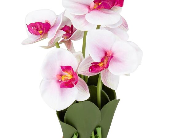 Букет орхидей 33 см, бело-розовый, изображение 2 ᐒ купить на  ❤ Like7km.com.ua
