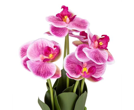 Букет орхидей 33 см, розовый, изображение 2 ᐒ купить на  ❤ Like7km.com.ua