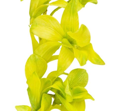 Орхидея (силикон, 87 см), изображение 3 ᐒ купить на  ❤ Like7km.com.ua