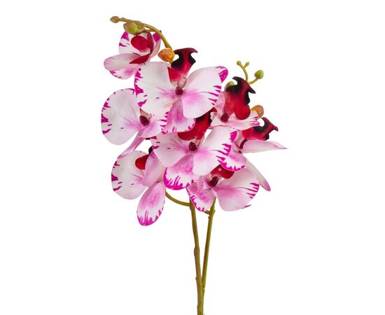 Орхидея 56 см. * Рандомный выбор дизайна, изображение 2 ᐒ купить на  ❤ Like7km.com.ua