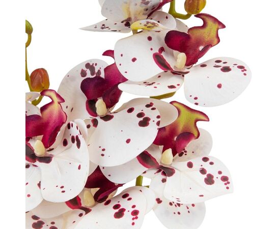 Орхидея 56 см. * Рандомный выбор дизайна, изображение 6 ᐒ купить на  ❤ Like7km.com.ua