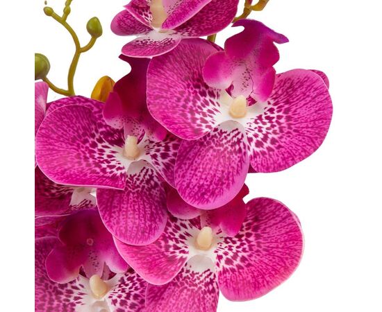 Орхидея 56 см. * Рандомный выбор дизайна, изображение 9 ᐒ купить на  ❤ Like7km.com.ua