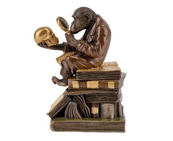 Шкатулка "Мавпа Дарвіна" (17 см) VERONESE, изображение 2 ᐒ купить на  ❤ Like7km.com.ua