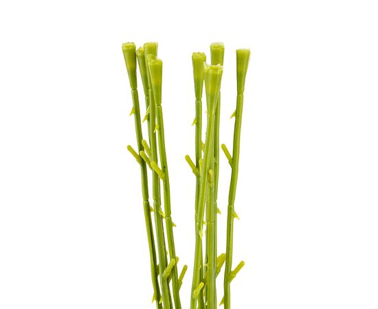 Флористическая основа "Стебель", 45 см, изображение 2 ᐒ купить на  ❤ Like7km.com.ua