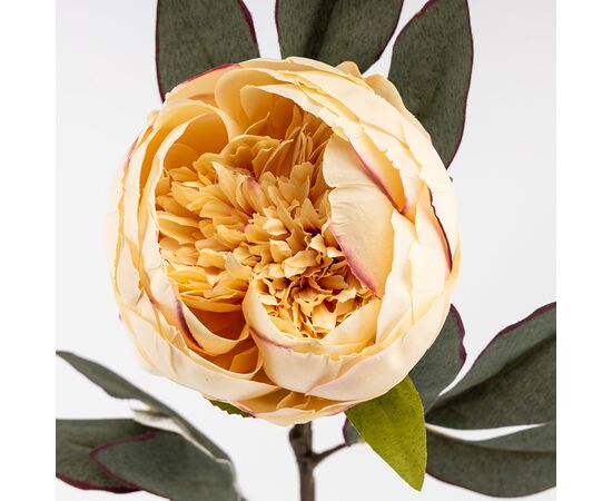 Искусственные пионы, кремовые, 66 см, изображение 4 ᐒ купить на  ❤ Like7km.com.ua