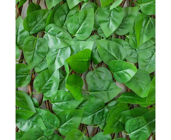 Декоративная панель из искусственной зелени и лозы "Фикус", 36*120 см, изображение 3 ᐒ купить на  ❤ Like7km.com.ua