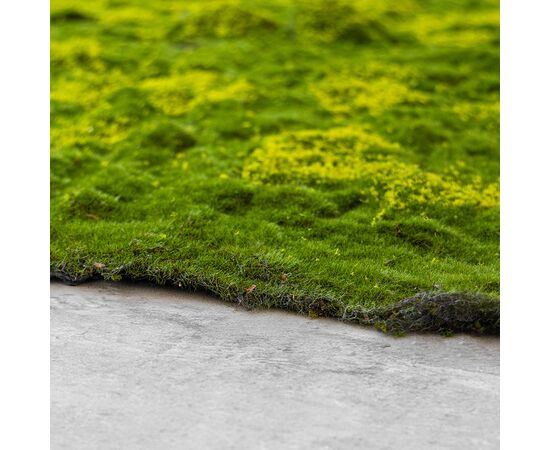 Декоративная панель из искусственного мха, 100*100 см, изображение 4 ᐒ купить на  ❤ Like7km.com.ua