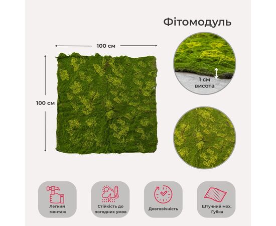 Декоративная панель из искусственного мха, 100*100 см, изображение 5 ᐒ купить на  ❤ Like7km.com.ua