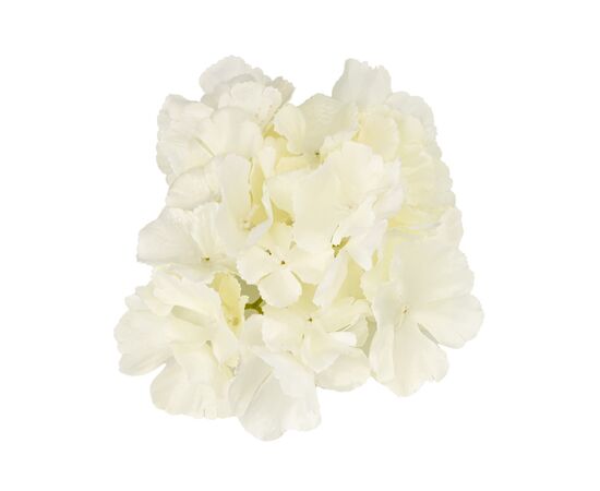 Головка гортензии, белая, 16 см, изображение 2 ᐒ купить на  ❤ Like7km.com.ua