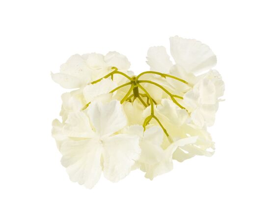 Головка гортензии, белая, 16 см, изображение 3 ᐒ купить на  ❤ Like7km.com.ua