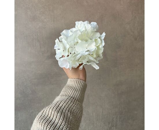 Головка гортензии, белая, 16 см, изображение 4 ᐒ купить на  ❤ Like7km.com.ua