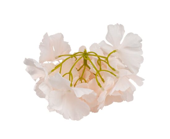 Головка гортензии, кремовая, 16 см, изображение 3 ᐒ купить на  ❤ Like7km.com.ua