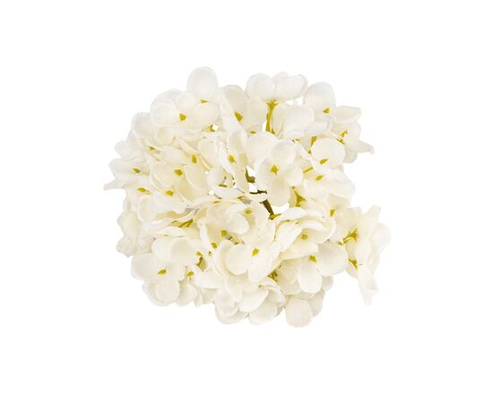 Головка гортензии мелкоцветная, белая, 14 см, изображение 2 ᐒ купить на  ❤ Like7km.com.ua