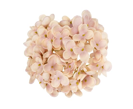 Головка гортензии мелкоцветная, светло-бежевая, 14 см, изображение 2 ᐒ купить на  ❤ Like7km.com.ua