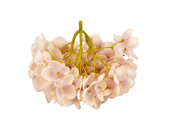 Головка гортензии мелкоцветная, светло-бежевая, 14 см, изображение 3 ᐒ купить на  ❤ Like7km.com.ua