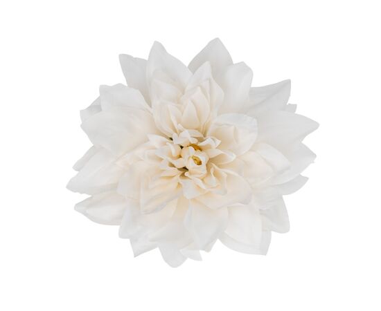 Головка георгина, кремовая, 15 см, изображение 2 ᐒ купить на  ❤ Like7km.com.ua