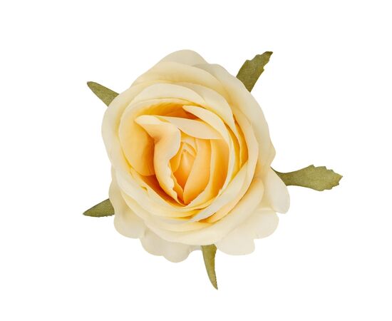 Головка розы, кремовая, 6,5 см, изображение 2 ᐒ купить на  ❤ Like7km.com.ua