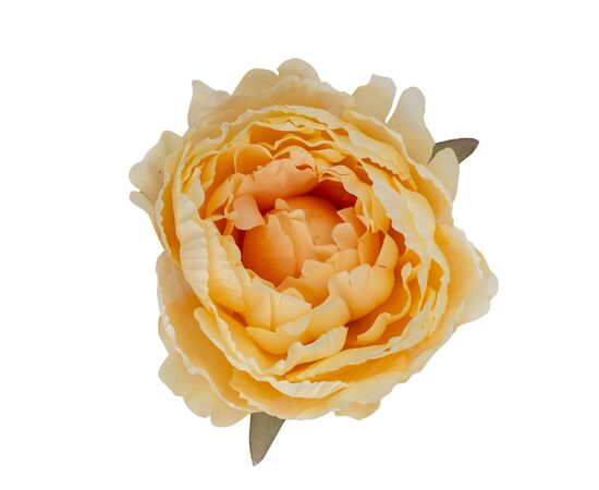 Головка пиона, бежевая, 10 см, изображение 2 ᐒ купить на  ❤ Like7km.com.ua