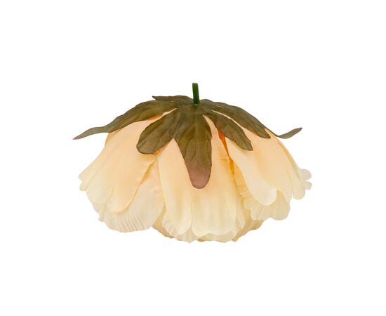 Головка пиона, бежевая, 10 см, изображение 3 ᐒ купить на  ❤ Like7km.com.ua