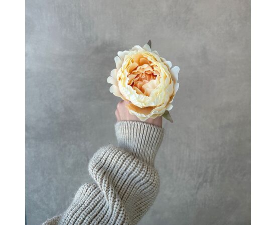 Головка пиона, бежевая, 10 см, изображение 4 ᐒ купить на  ❤ Like7km.com.ua