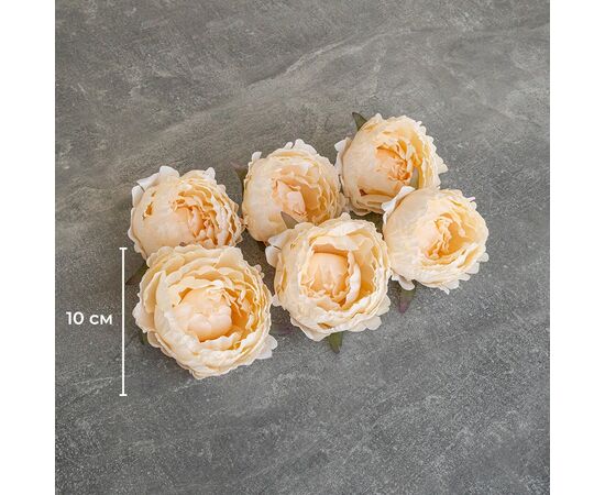 Головка пиона, кремовая, 10 см, изображение 4 ᐒ купить на  ❤ Like7km.com.ua