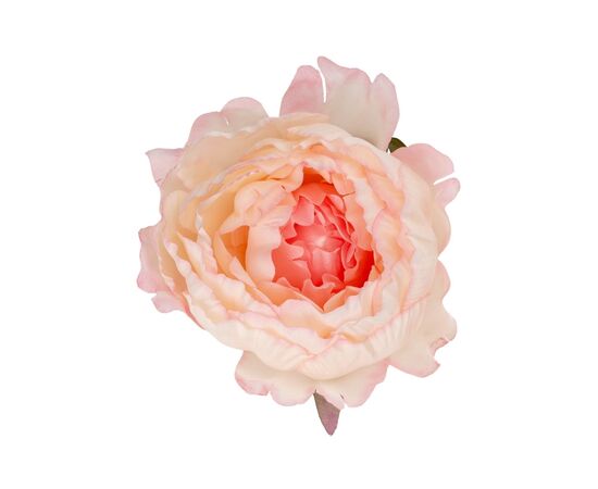 Головка пиона, розовая, 10 см, изображение 2 ᐒ купить на  ❤ Like7km.com.ua