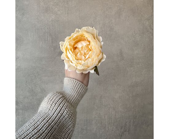 Головка пиона, бежевая, 10 см, изображение 4 ᐒ купить на  ❤ Like7km.com.ua