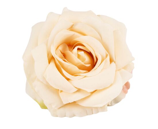 Головка розы, кремовая, 10 см, изображение 2 ᐒ купить на  ❤ Like7km.com.ua