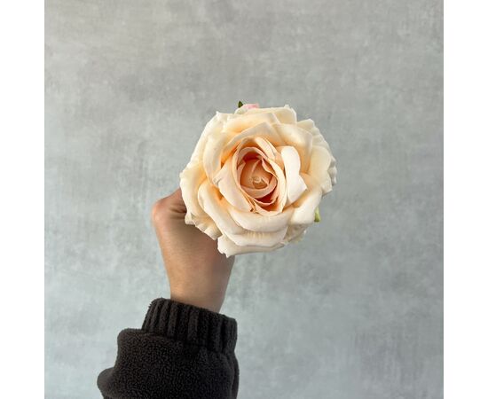 Головка розы, кремовая, 10 см, изображение 4 ᐒ купить на  ❤ Like7km.com.ua